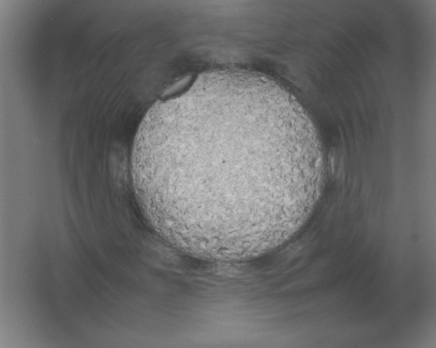 X0000067341251200604211926
