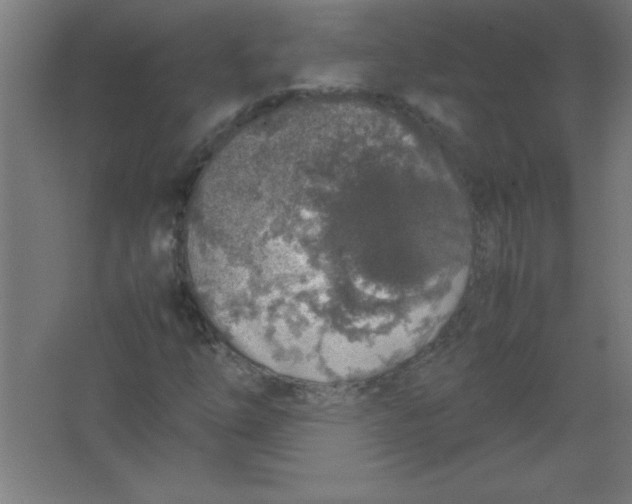 X0000067341254200604211926