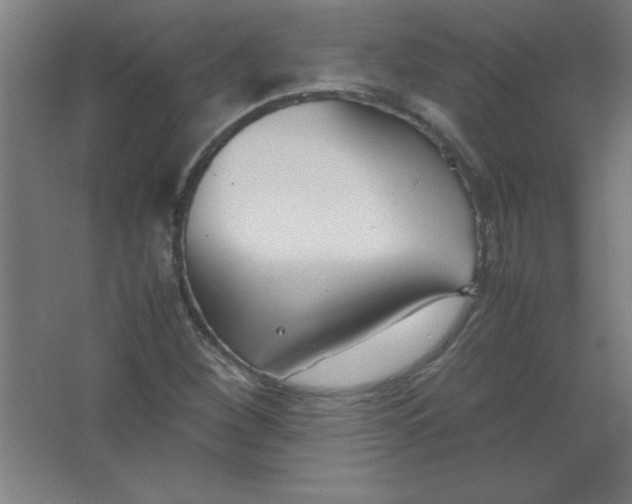 X0000067341260200604211926