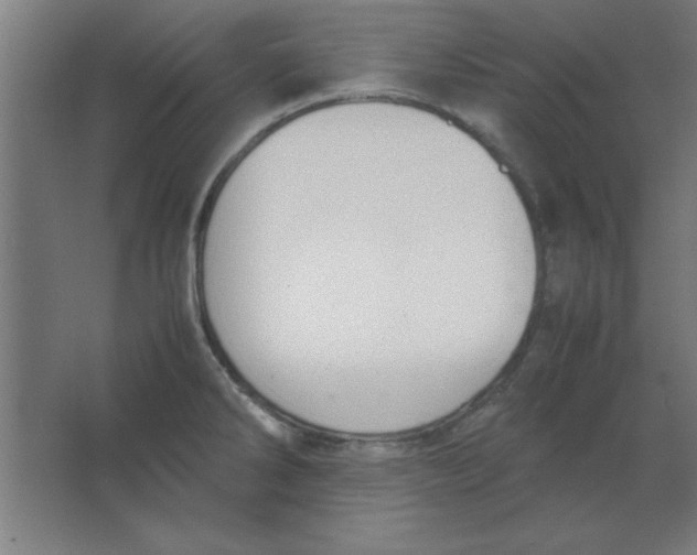 X0000067341286200604211926