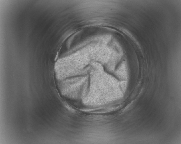 X0000067341289200604211926