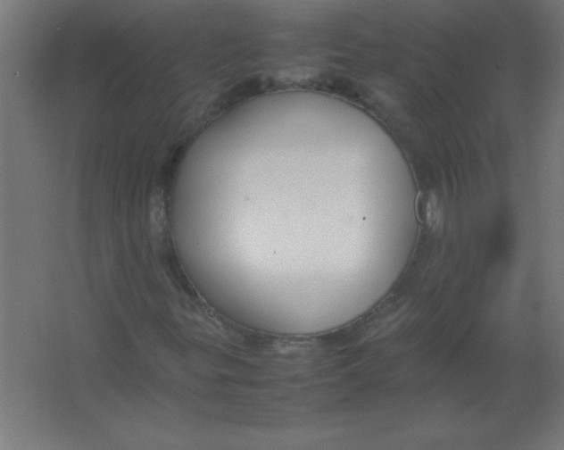 X0000067341299200604211925