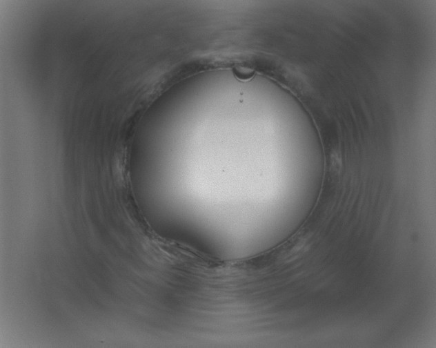 X0000067341300200604211925