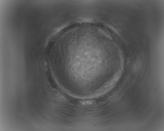 X0000067341303200604211925