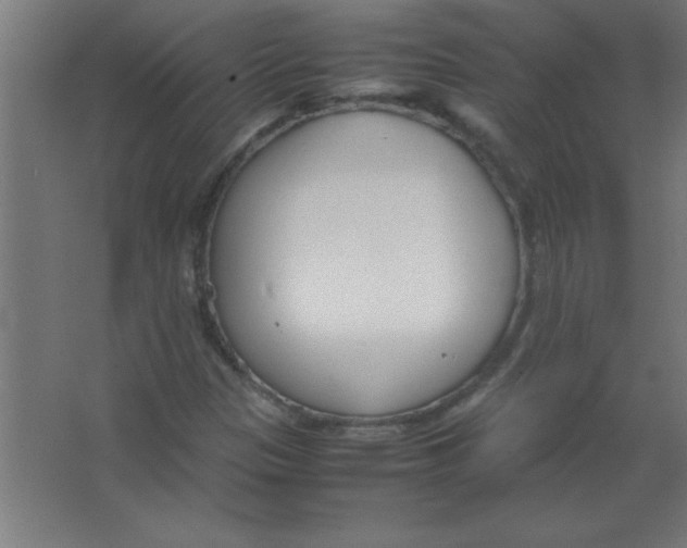 X0000067341305200604211925