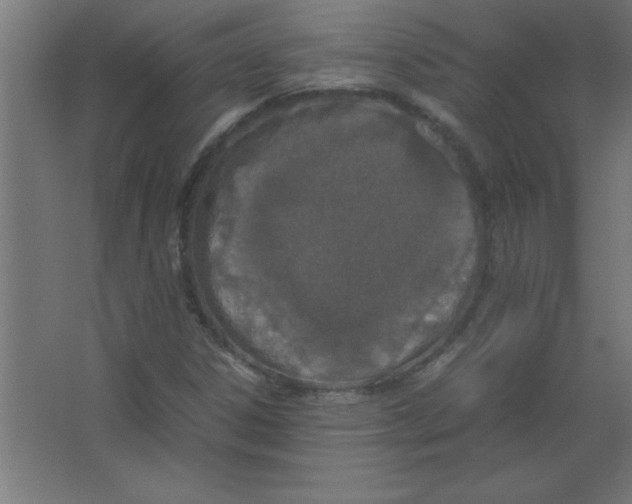 X0000067341306200604211925