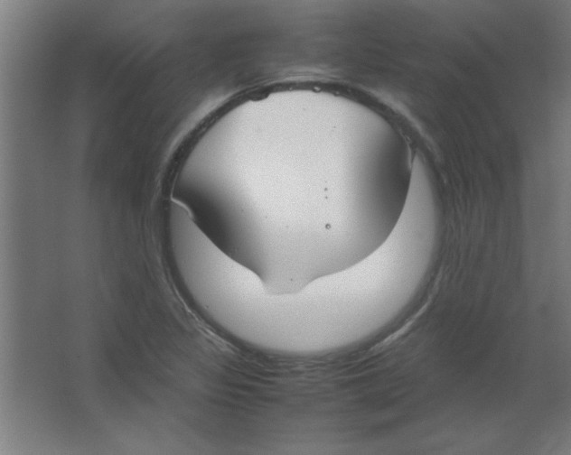 X0000067341317200604211925