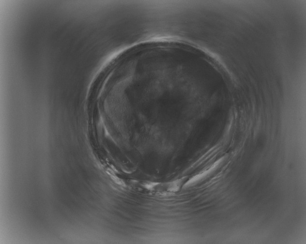 X0000067341319200604211925
