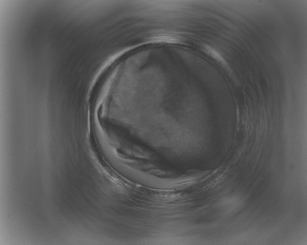 X0000067341323200604211925