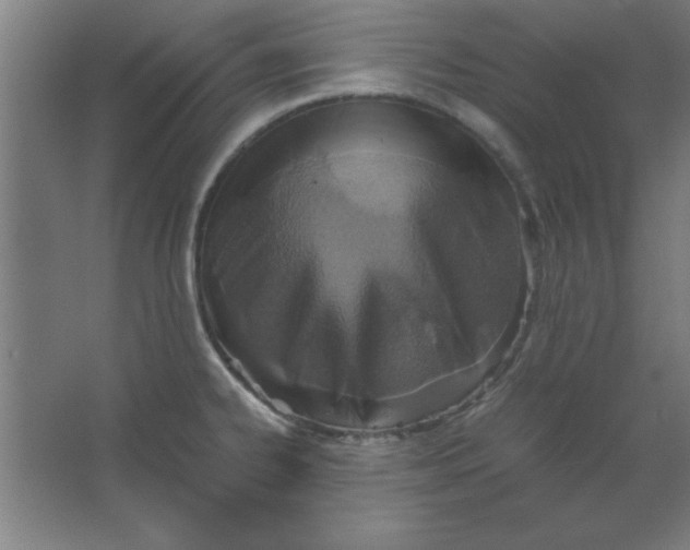 X0000067341334200604211925