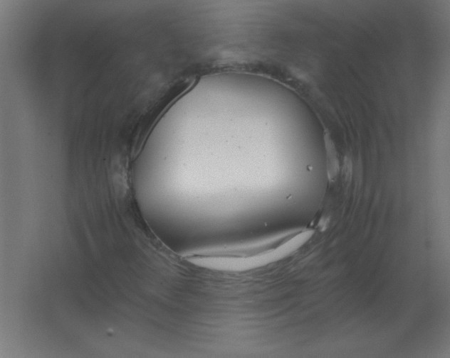 X0000067341348200604211925