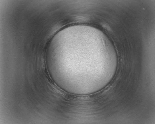 X0000067341354200604211925