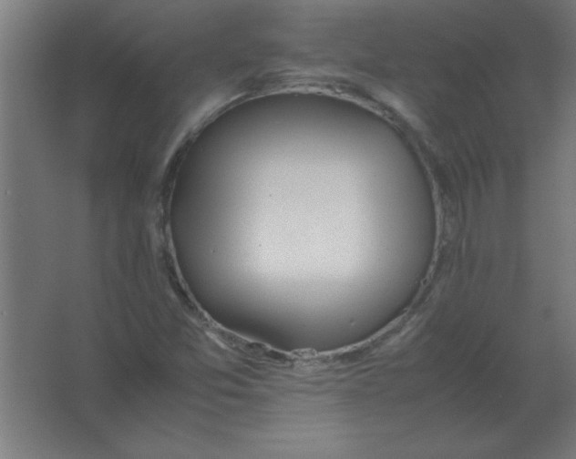 X0000067341357200604211925