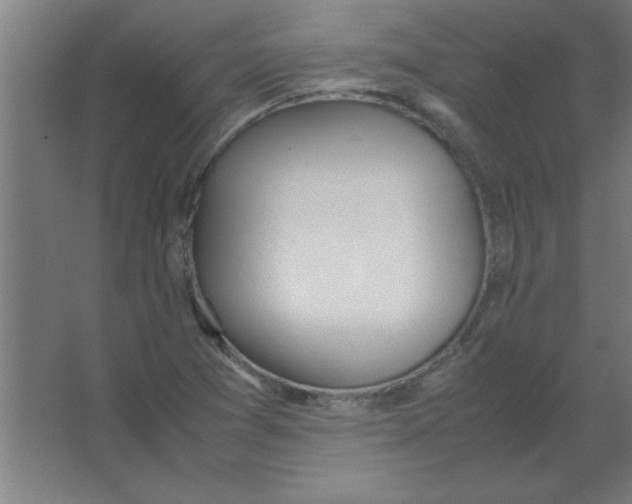 X0000067341361200604211925