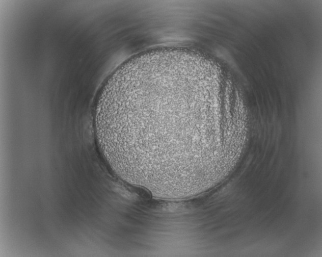 X0000067341362200604211925