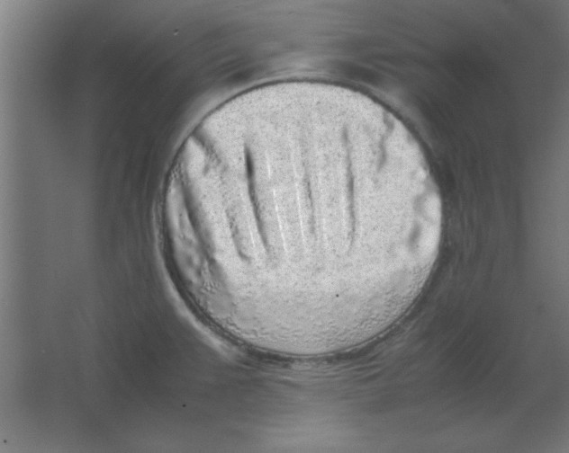 X0000067341383200604211924