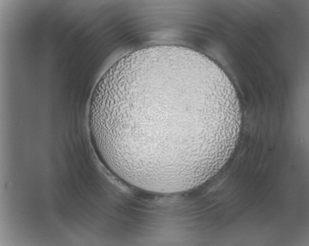 X0000067341386200604211924