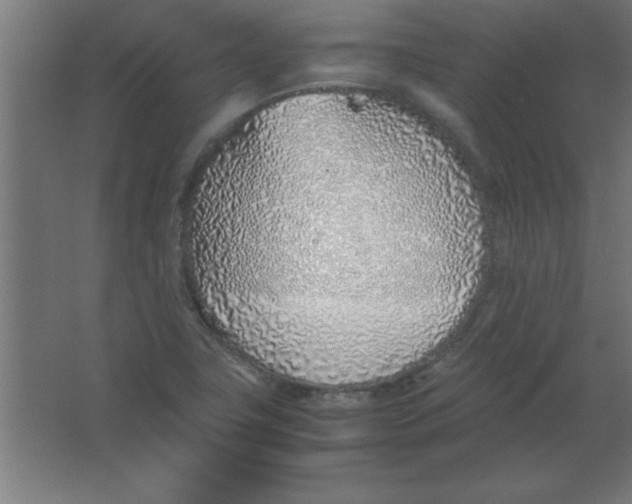 X0000067341411200604211924