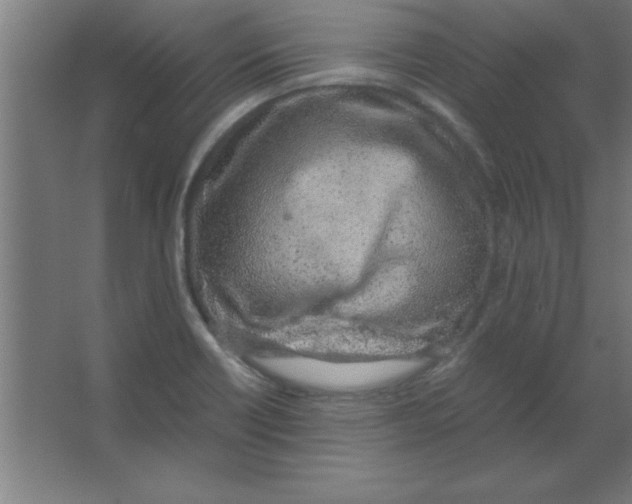 X0000067341418200604211924