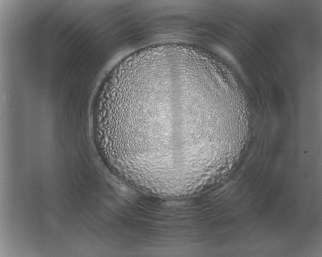 X0000067341419200604211924