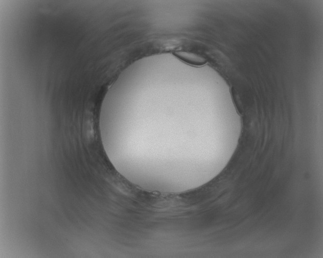 X0000067341442200604211923