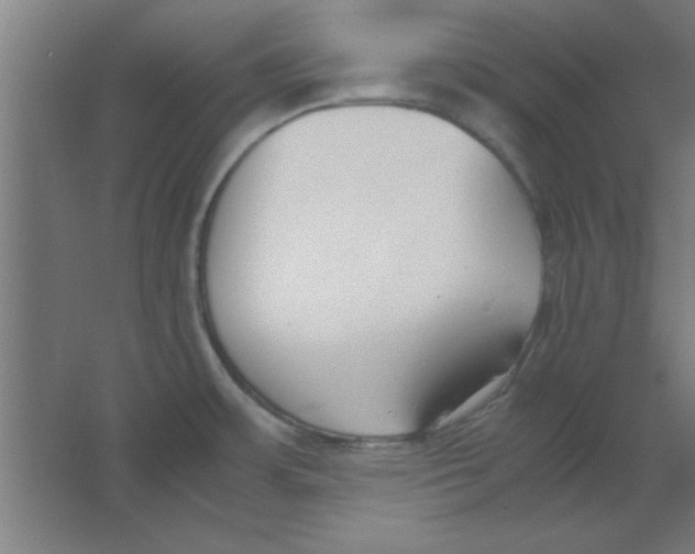 X0000067341483200604211922