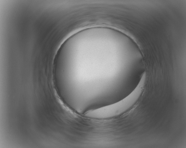 X0000067341534200604211922