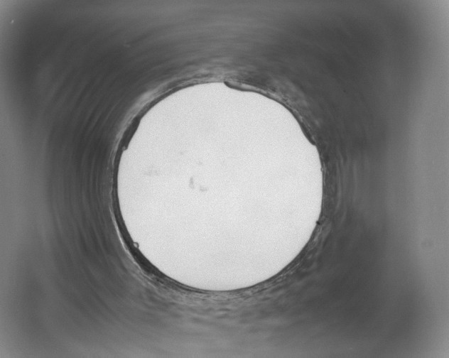 X0000067340003200604281457