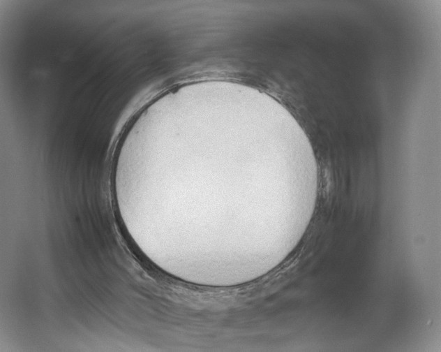 X0000067340004200604281457