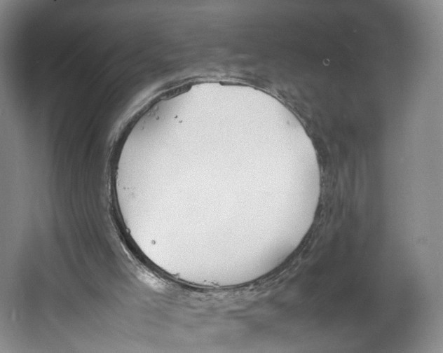 X0000067340005200604281457