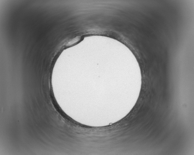 X0000067340011200604281457
