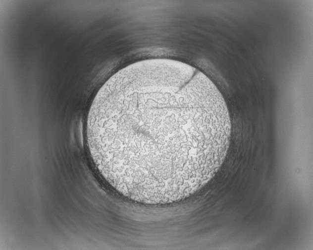X0000067340014200604281457