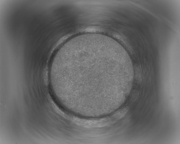 X0000067340016200604281457
