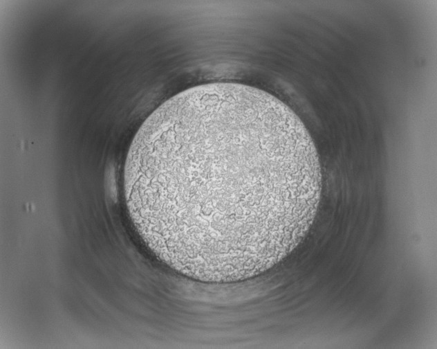 X0000067340026200604281456