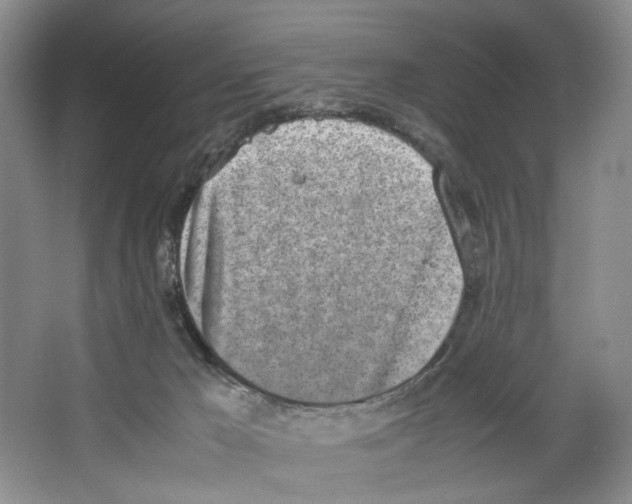 X0000067340029200604281456