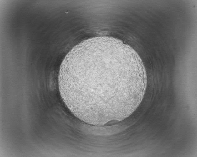 X0000067340030200604281456