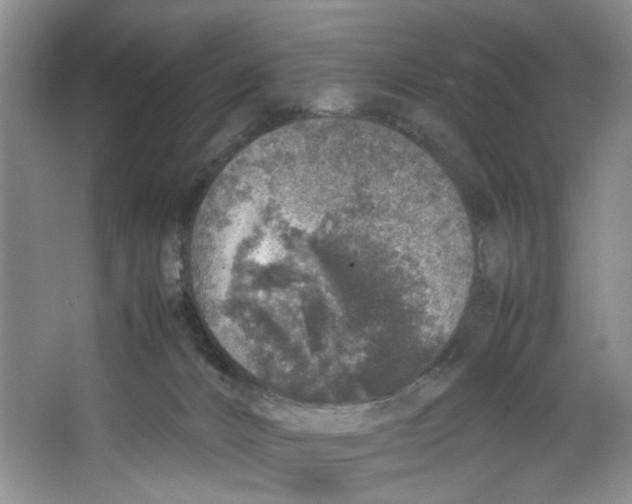 X0000067340032200604281456