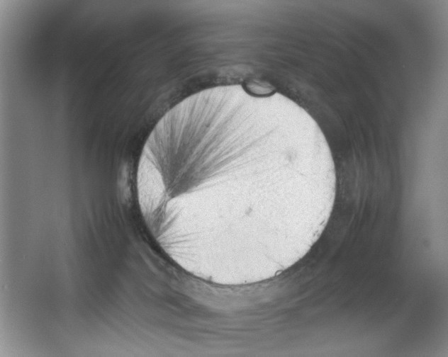X0000067340038200604281456