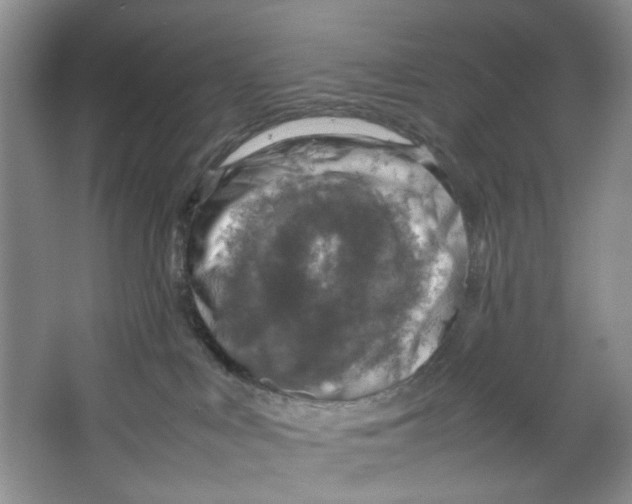 X0000067340043200604281456
