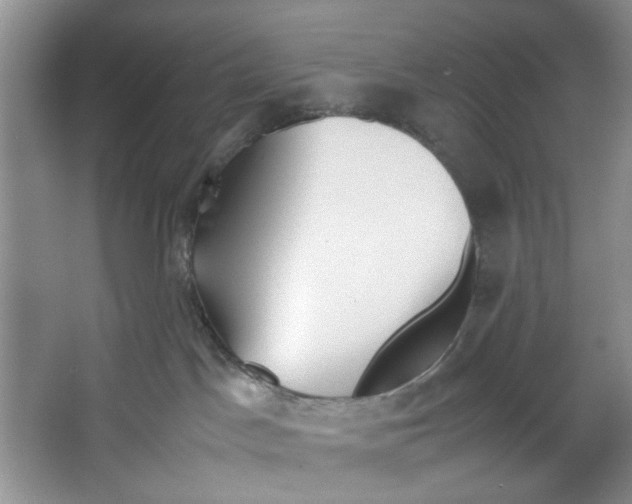 X0000067340045200604281456