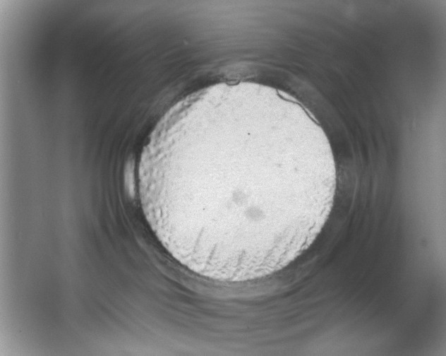 X0000067340046200604281456