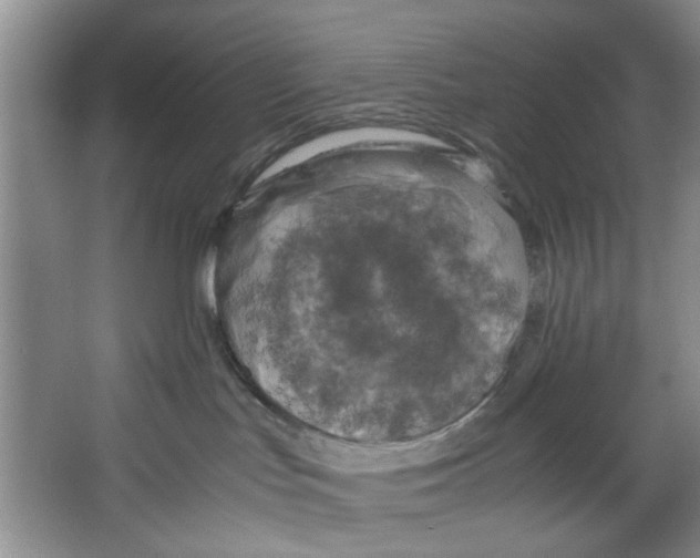 X0000067340047200604281456