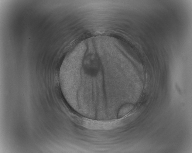 X0000067340048200604281456