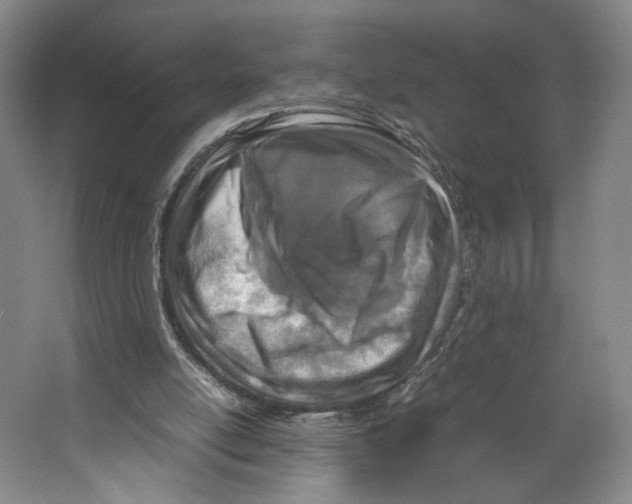 X0000067340054200604281455