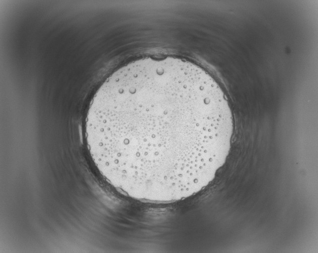 X0000067340061200604281455
