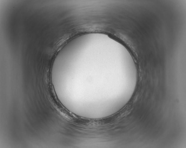 X0000067340105200604281455
