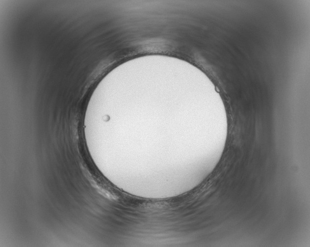 X0000067340106200604281455