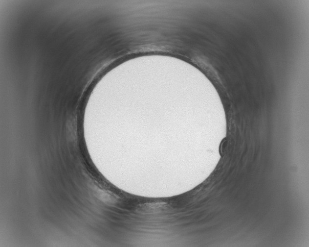 X0000067340108200604281455