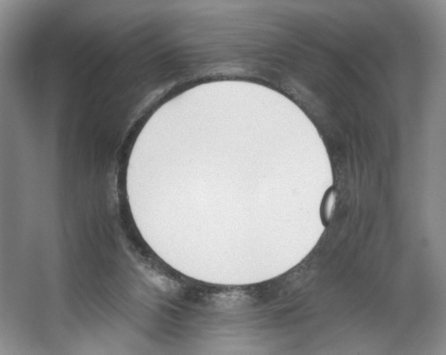 X0000067340112200604281455