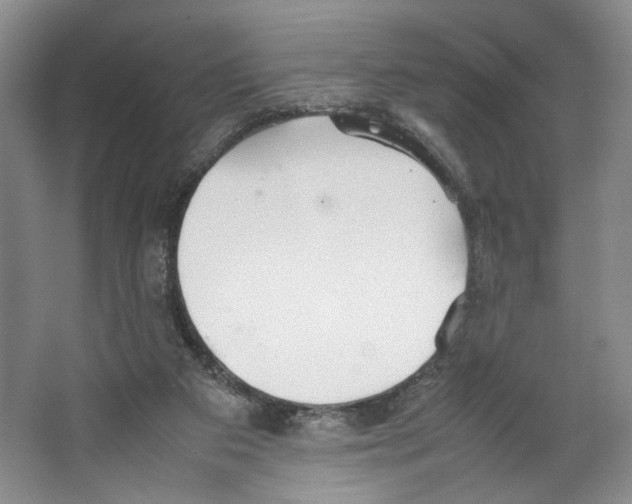 X0000067340113200604281455